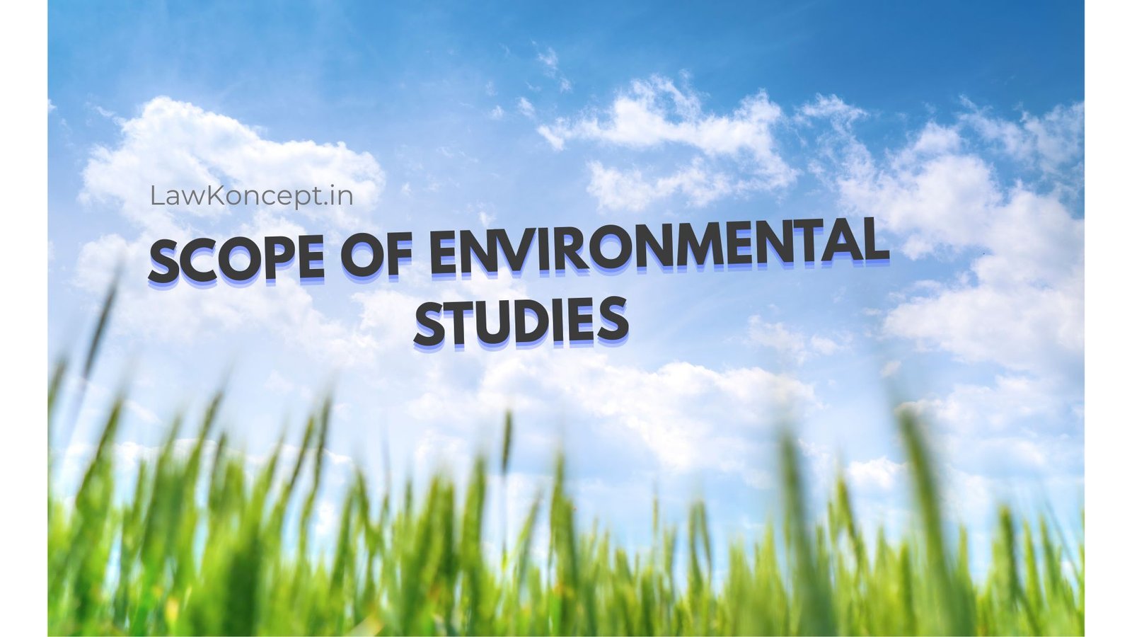 scope of environmental studies